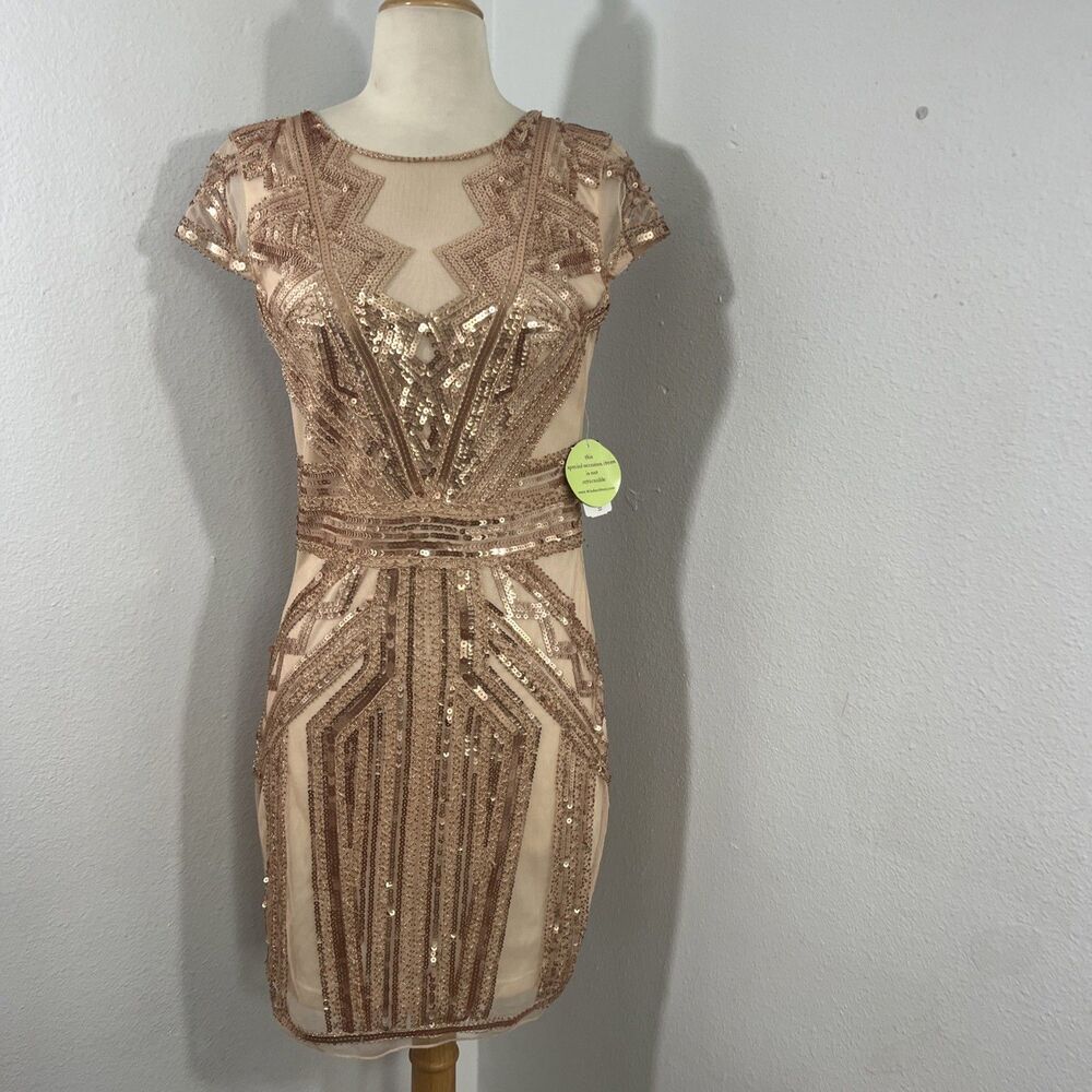 NWT Windsor Rose Gold Sequin Mesh Mini Dress